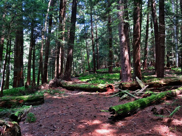 WestBranchPreserveJul2019