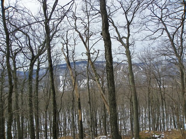 EastJewettMar2011