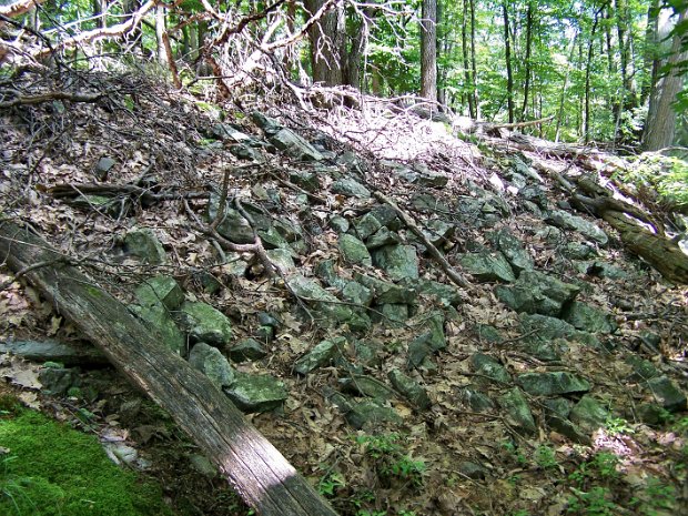 FahnestockMinesAug2009