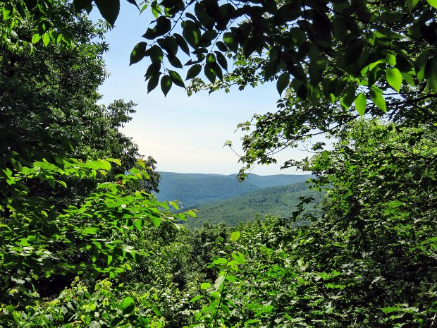 BerryBrookBeechHillJun2021