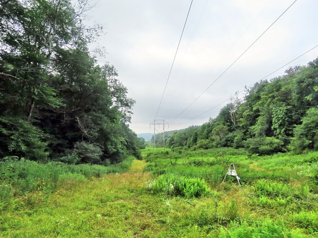 BerryBrookLittleSpringBrookAug2021