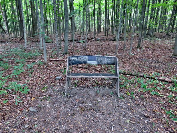 BirdseyeHollowRdRt226Sep2016