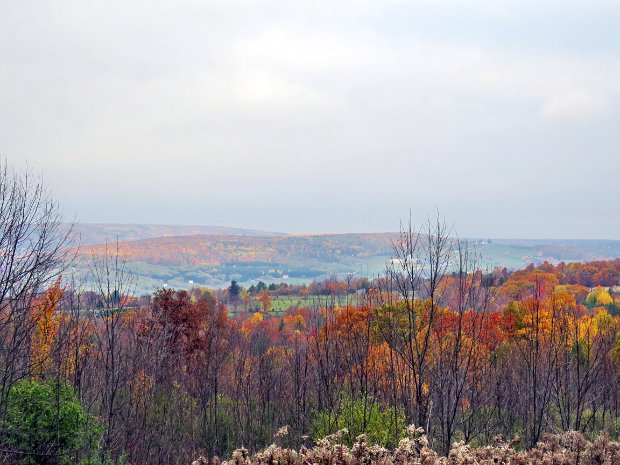 BirdseyeHollowRdWindingStairRdNov2016