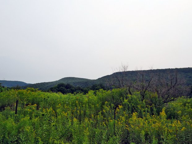 BishopvilleRdWebbRdAug2017