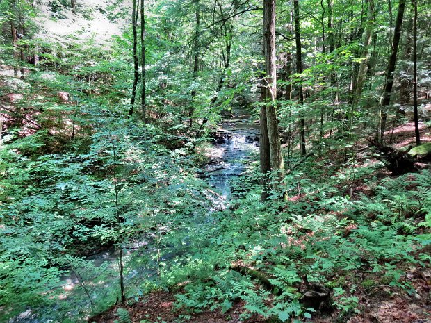 BraleyHillRdOld76RdJul2015