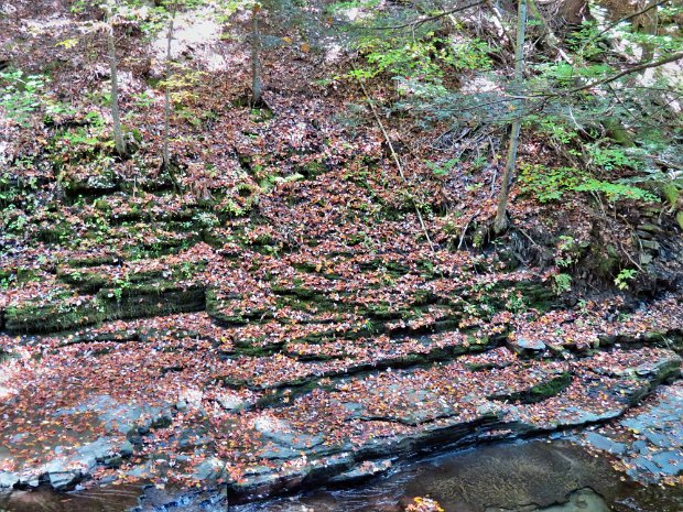 CaseBainbridgeSep2013