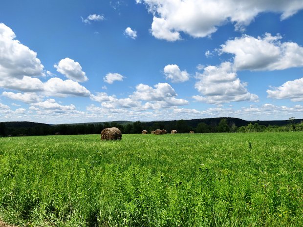 ComfortRdFisherSettlementJul2015