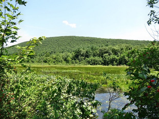 HeiseyRdBraleyHillRdJul2015