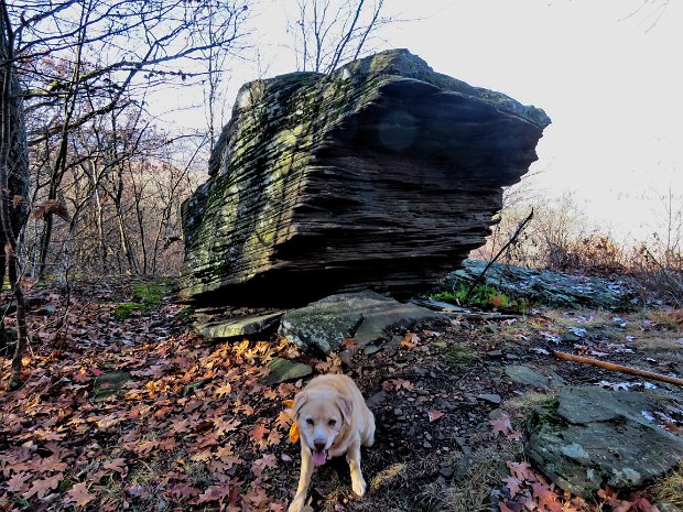 HolidayBrookRt206Nov2022