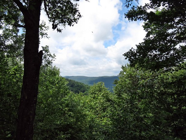 HorseCamptoDownsvilleJul2013