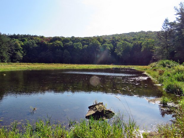 LittleSpringBrookCampbellMtSep2021