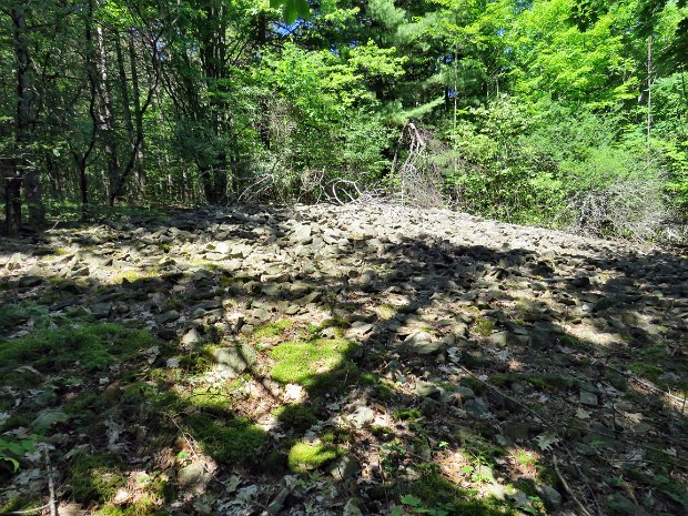 MapleLnTemplarRdAug2016