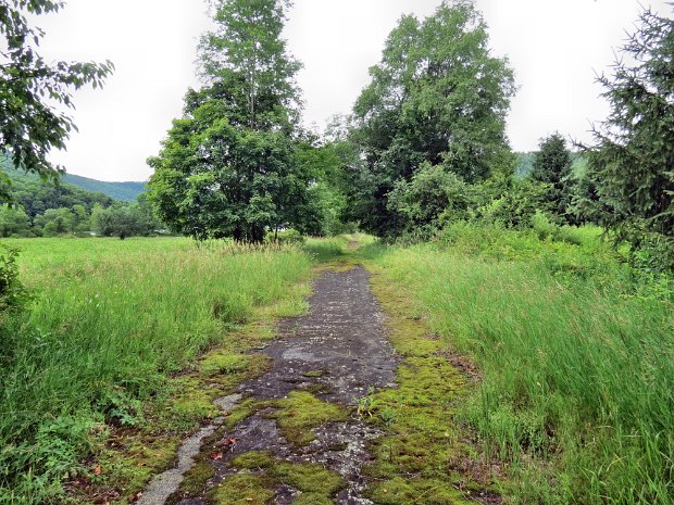 MormonHollowtoFletcherRdJul2013