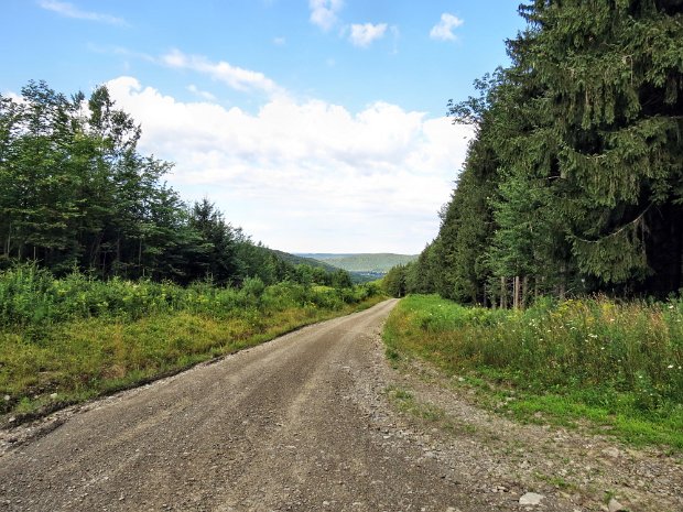 OtselicSFtoGroverBrownAug2013