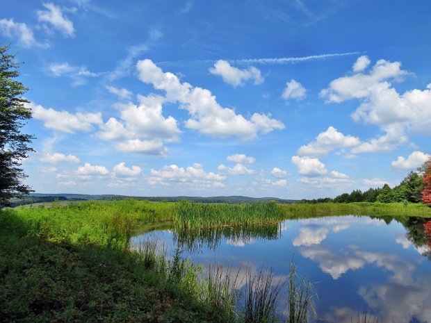 ParadiseHilltoRidgeRdAug2013