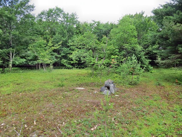 RT206toDownsvilleJun2013