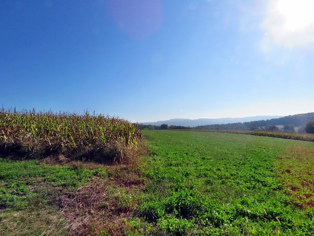 SandPitRdRt13Oct2016