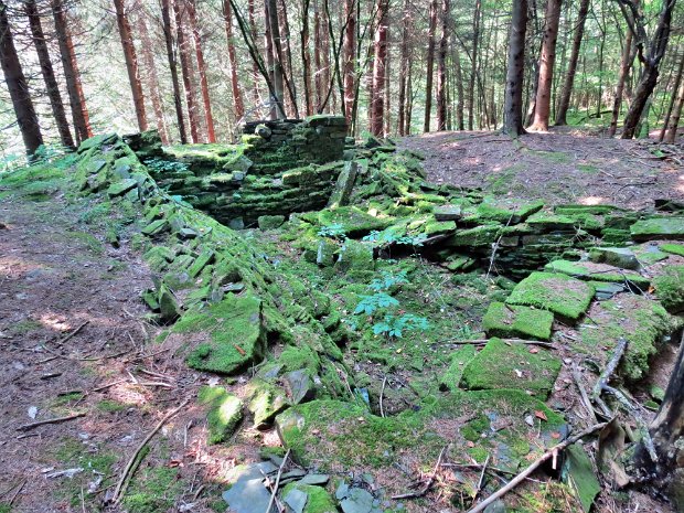 SteamMillSFtoMormonHollowJul2013