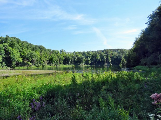 TemplarRdWatkinsGlenAug2016