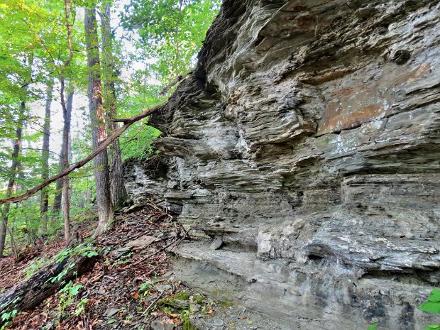 WatkinsGlenBurdettAug2015