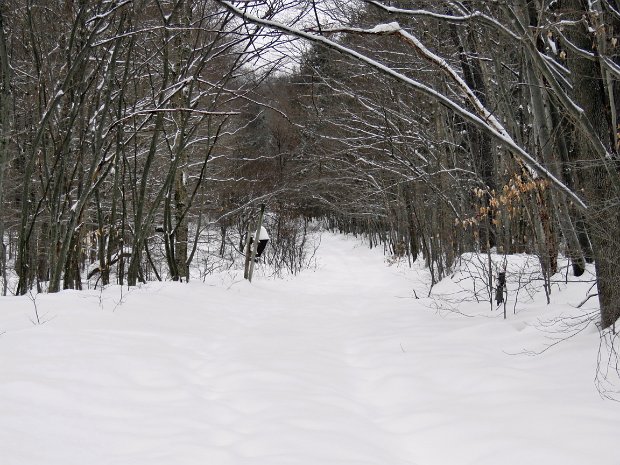 AroundFrickSnowshoeDec2016