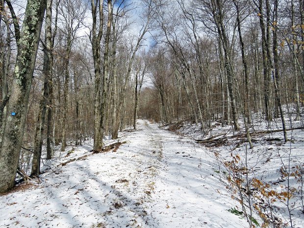 BeechMtBSACampMar2017