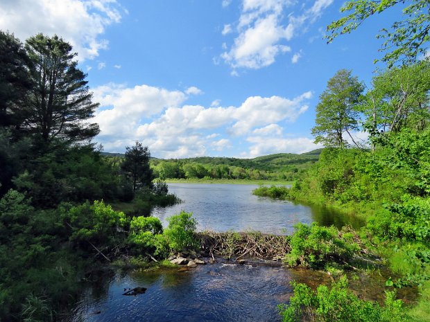 BigRockLoggersJun2017