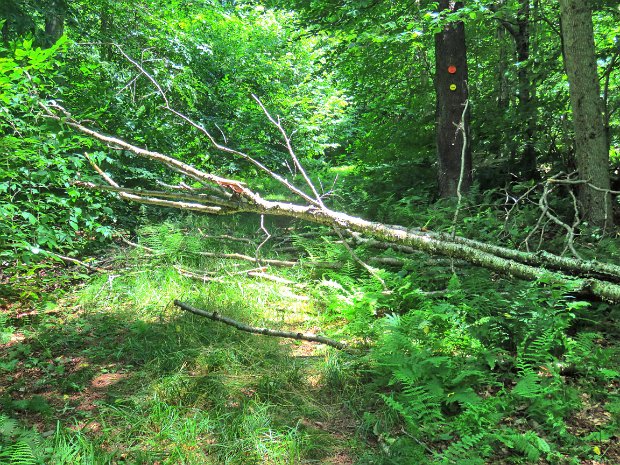 BigRockMaintenanceJul2020