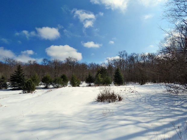 FlynnBigRockLoggersFeb2020