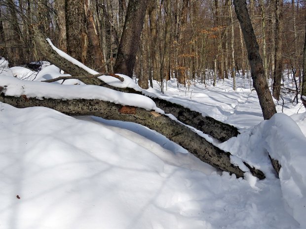 FlynnBigRockMaintenanceDec2020