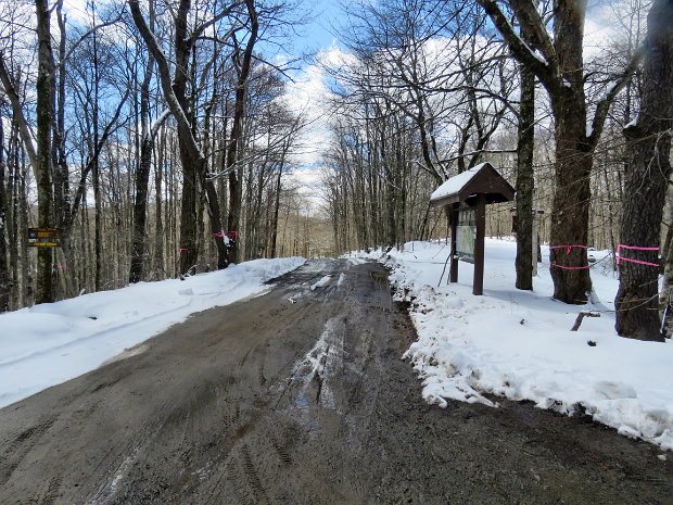 FlynnBigRockQuickApr2022