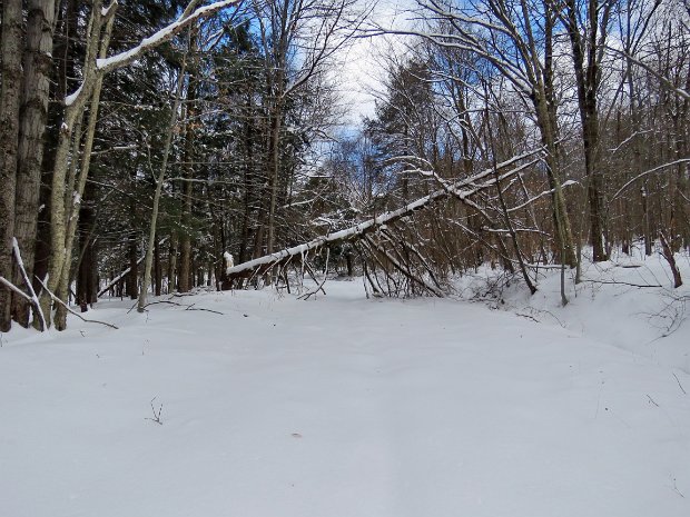 FlynnBigRockQuickDec2019