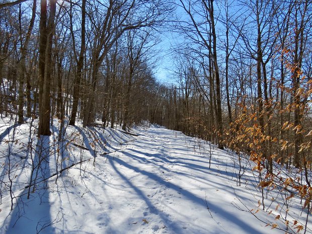 FlynnBigRockQuickFeb2022