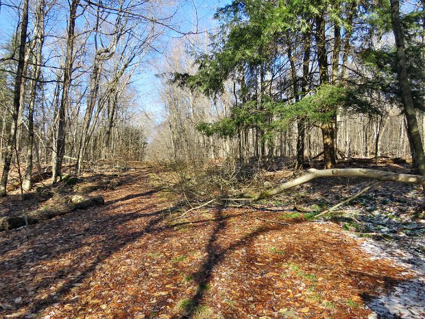 FlynnBigRockQuickFeb2023