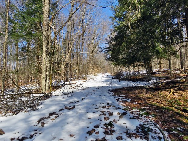 FlynnBigRockQuickFeb2024