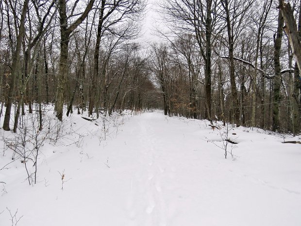 FlynnBigRockQuickJan2019