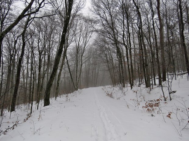 FlynnBigRockQuickLakeDec2017