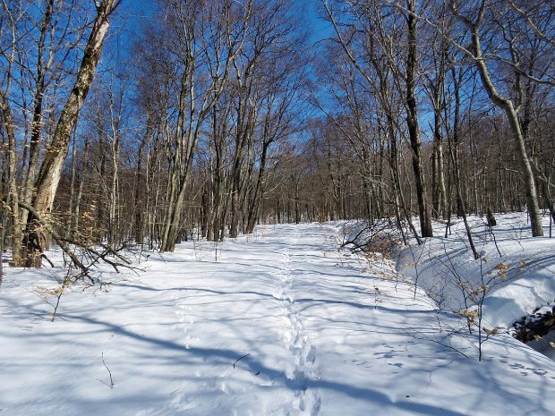 FlynnBigRockQuickMar2021