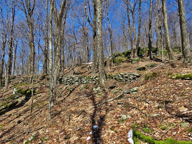 FlynnBigRockQuickMar2024