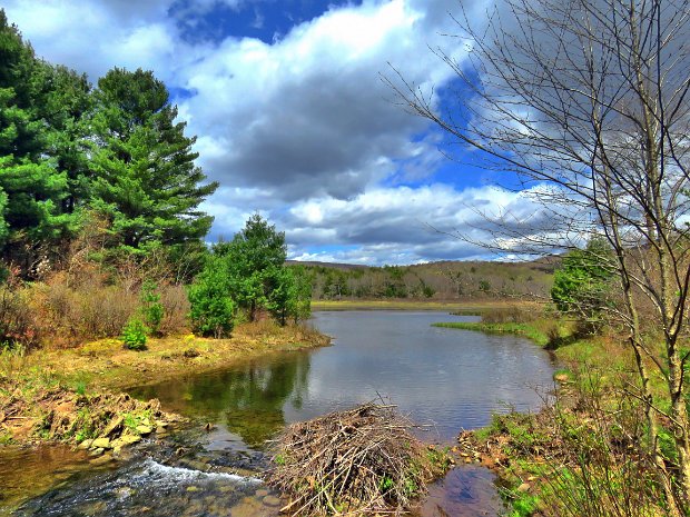 FlynnBigRockQuickMay2021