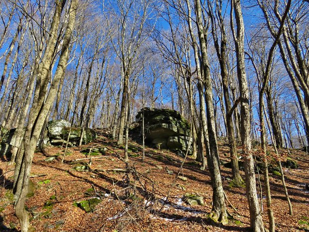 FlynnBigRockQuickNov2022