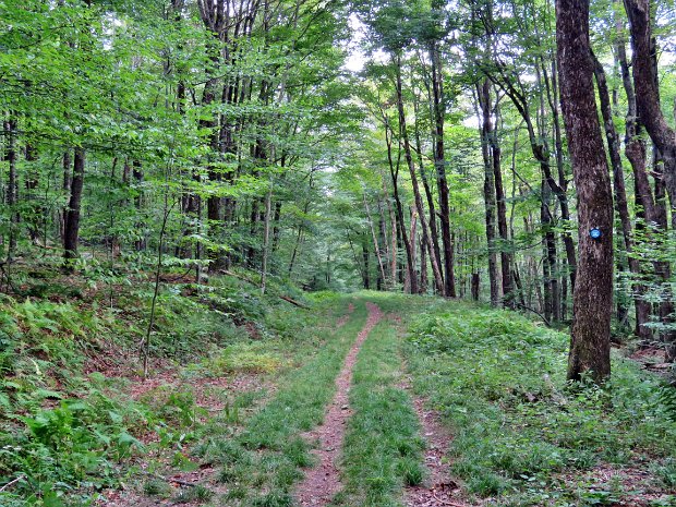 FlynnBigRockQuickSep2019