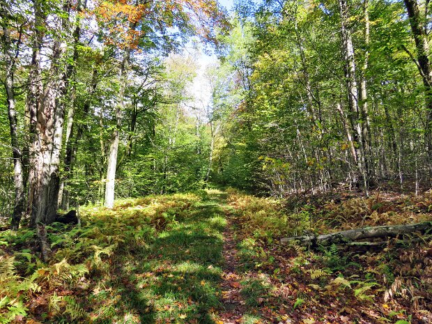 FlynnBigRockQuickSep2025