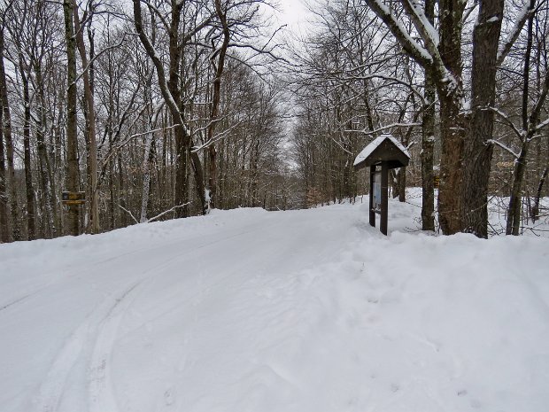 FlynnBigRockQuickSnowshoeFeb2018