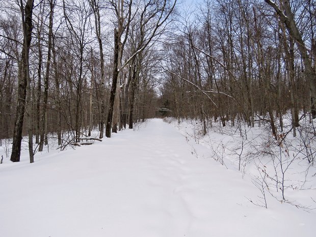 FlynnBigRockQuickSnowshoeFeb2019