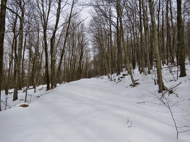 FlynnBigRockQuickSpikesFeb2019