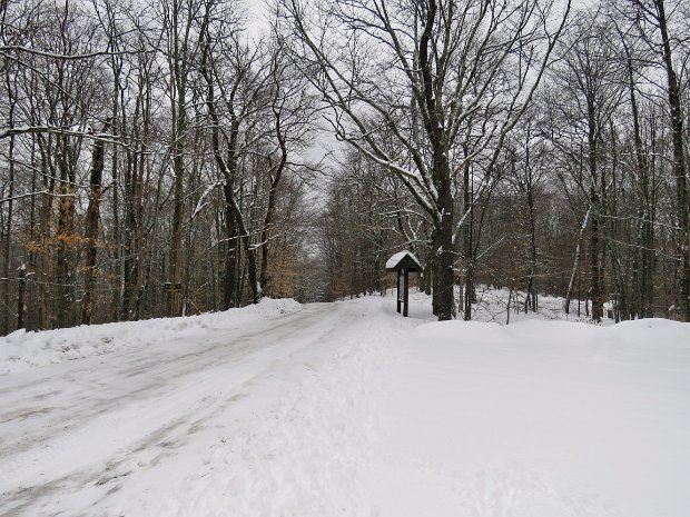 FlynnBigRockSnowshoeDec2016