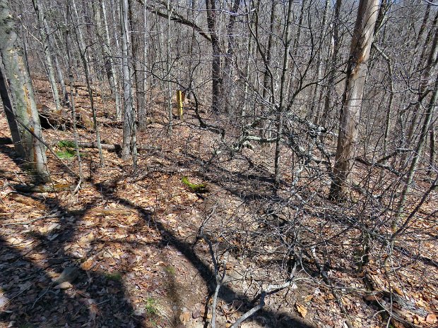 FlynnMaintenanceApr2018