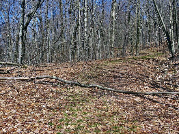 FlynnMaintenanceApr2022