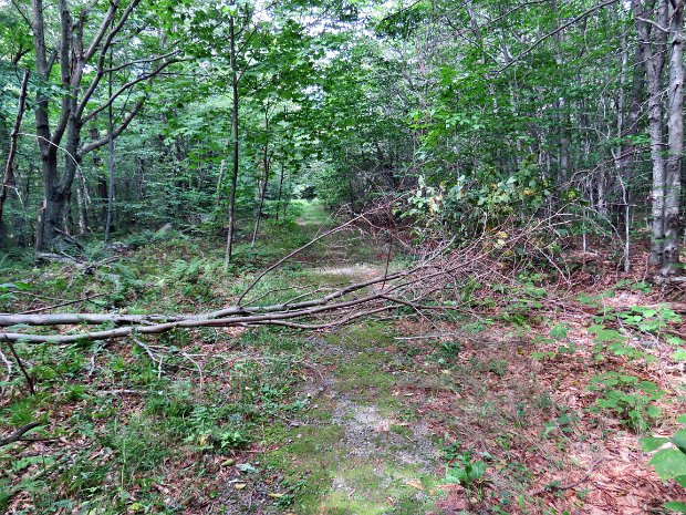 FlynnMaintenanceAug2016